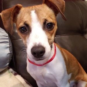 Meet your Posher, Sandy